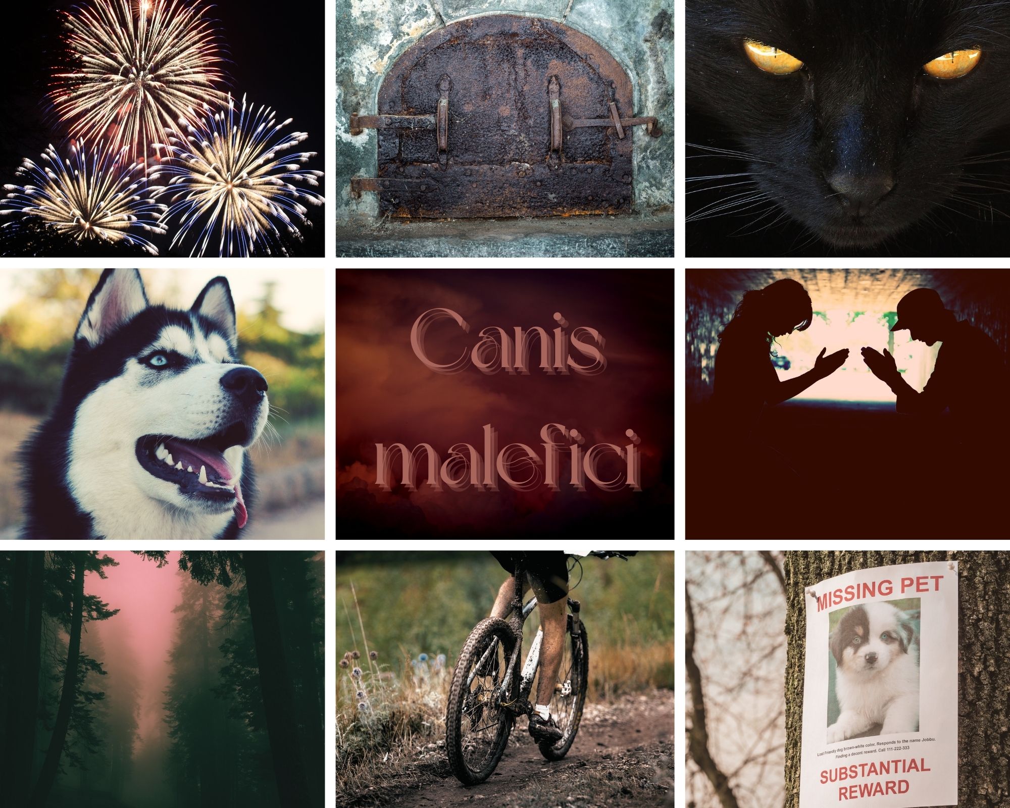 Nine-picture aesthetic 1.Canis Malefici (title) 2. Fireworks 3. Rusty metal door on concrete over 4. Close up of black cat's face 5. Husky dog face 6. Foggy forest 7. person riding bicycle 8. Missing pet poster 9. Boy and girl in dark tunnel
